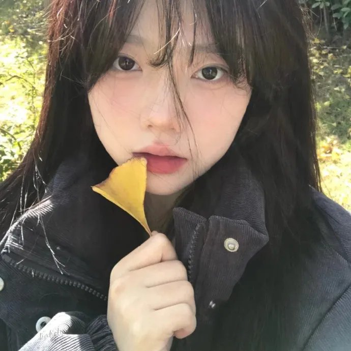 五尾狐